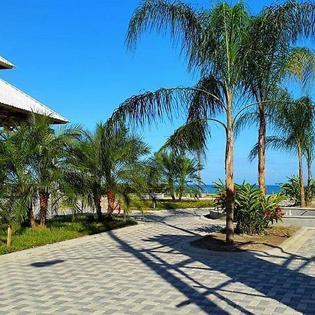 Uw Oasis Hotel La Ceiba Ngoại thất bức ảnh